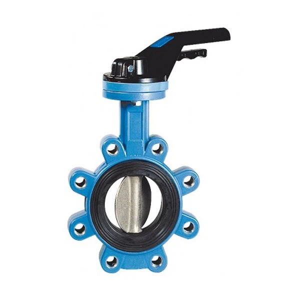 Ductile Cast Iron Butterfly Valve 3